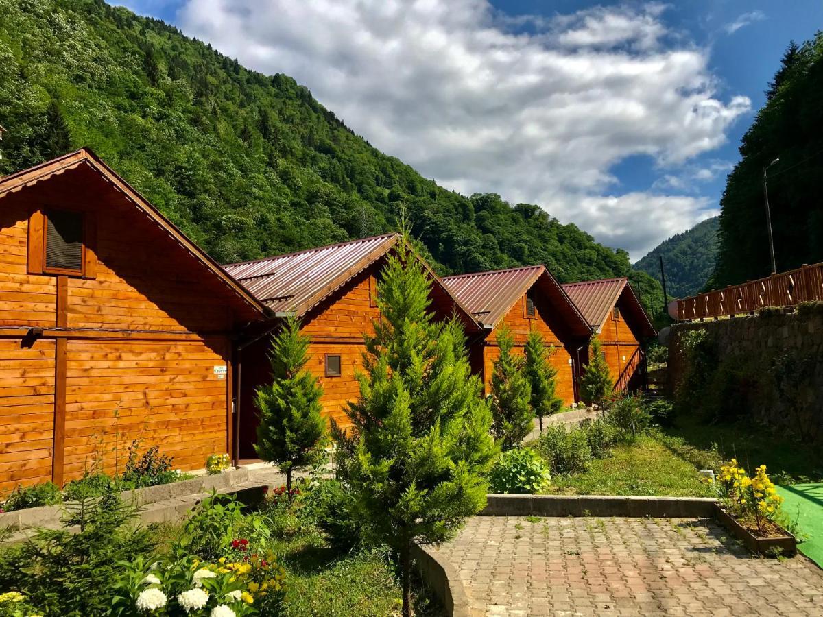 Çamlıhemşin Tuva Villa Bungalov מראה חיצוני תמונה