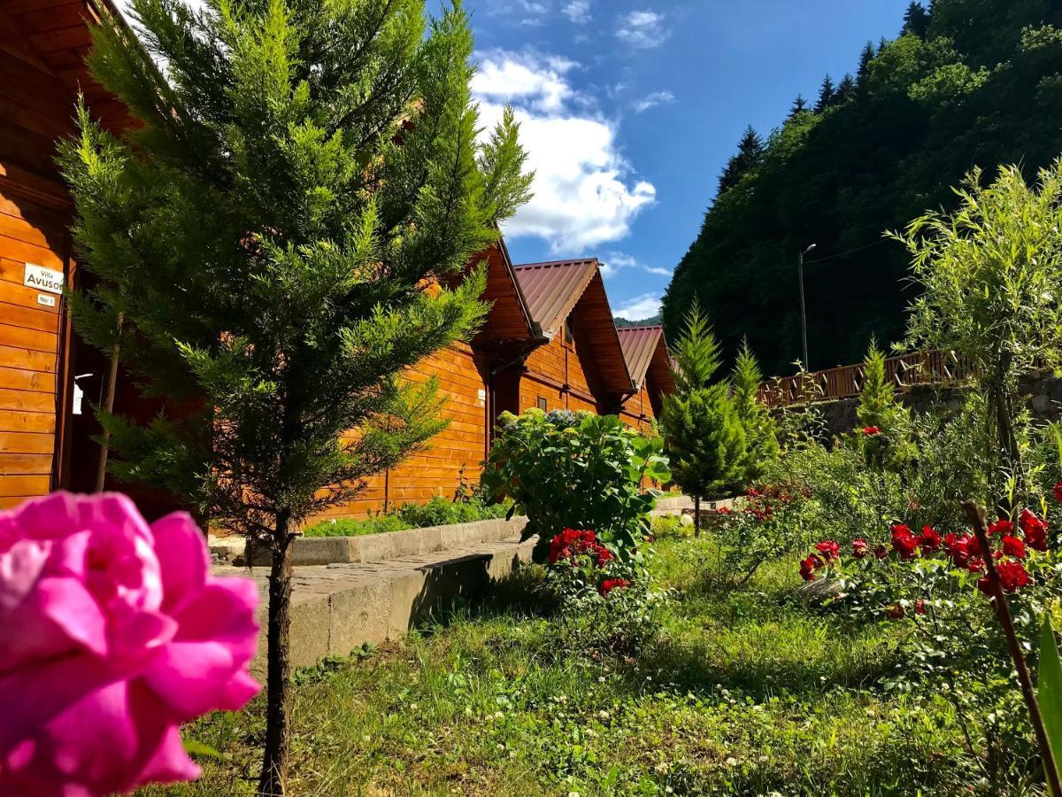 Çamlıhemşin Tuva Villa Bungalov מראה חיצוני תמונה